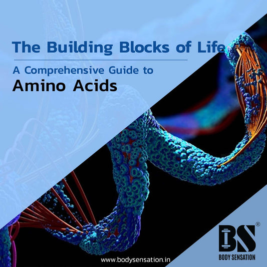  EAA Supplement & BCAA Supplement 